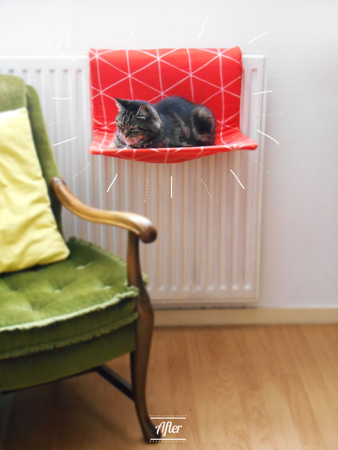 Kelder Ik heb een Engelse les Omringd Hidden Treasure – Kattenmand | Team Confetti
