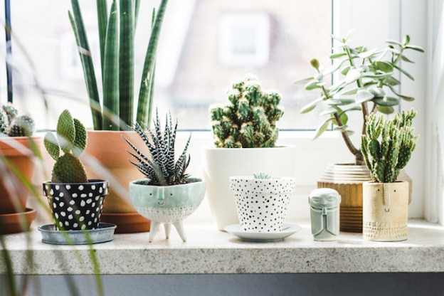 Interieurinspiratie: Cactussen!