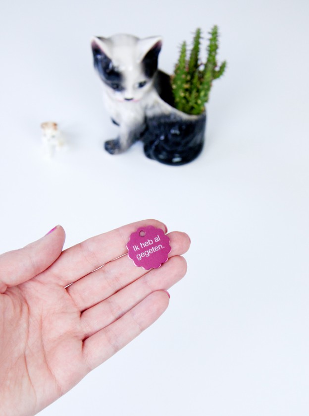 Kattenbonus:  gepersonaliseerde halsbandjes voor Mo & Tetkees.